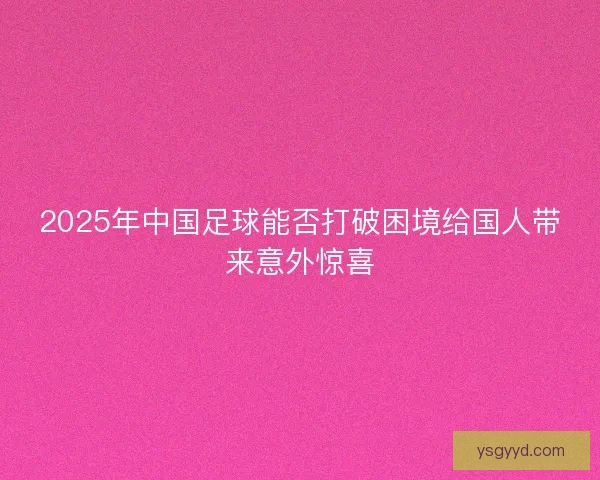 2025年中国足球能否打破困境给国人带来意外惊喜