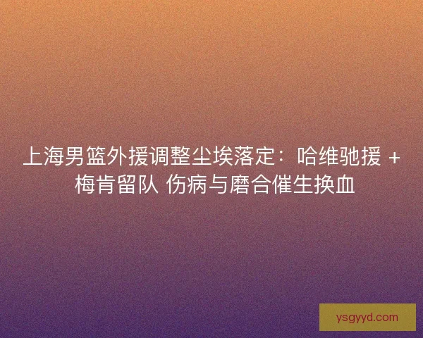 上海男篮外援调整尘埃落定：哈维驰援 + 梅肯留队 伤病与磨合催生换血